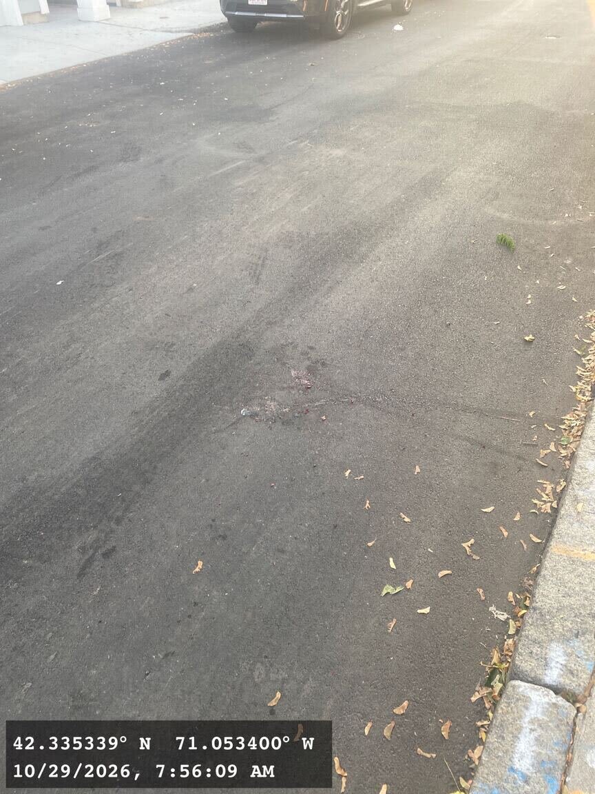 Image submitted with report