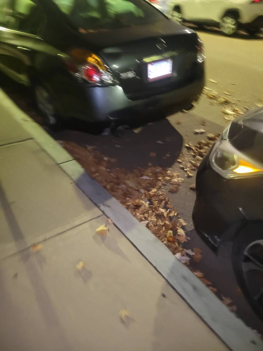 Image submitted with report