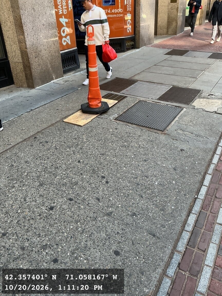 Image submitted with report