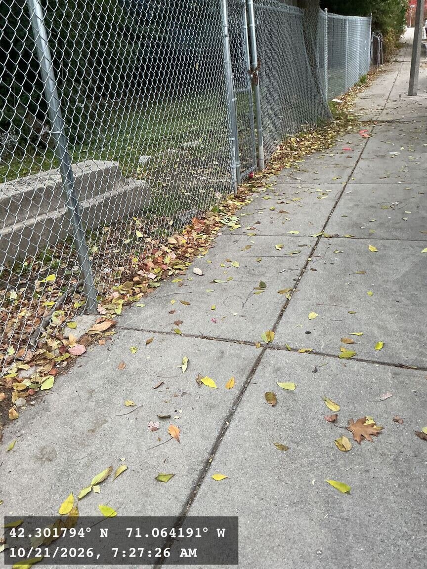Image submitted with report