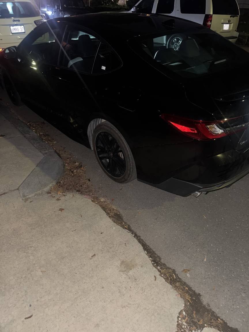 Image submitted with report