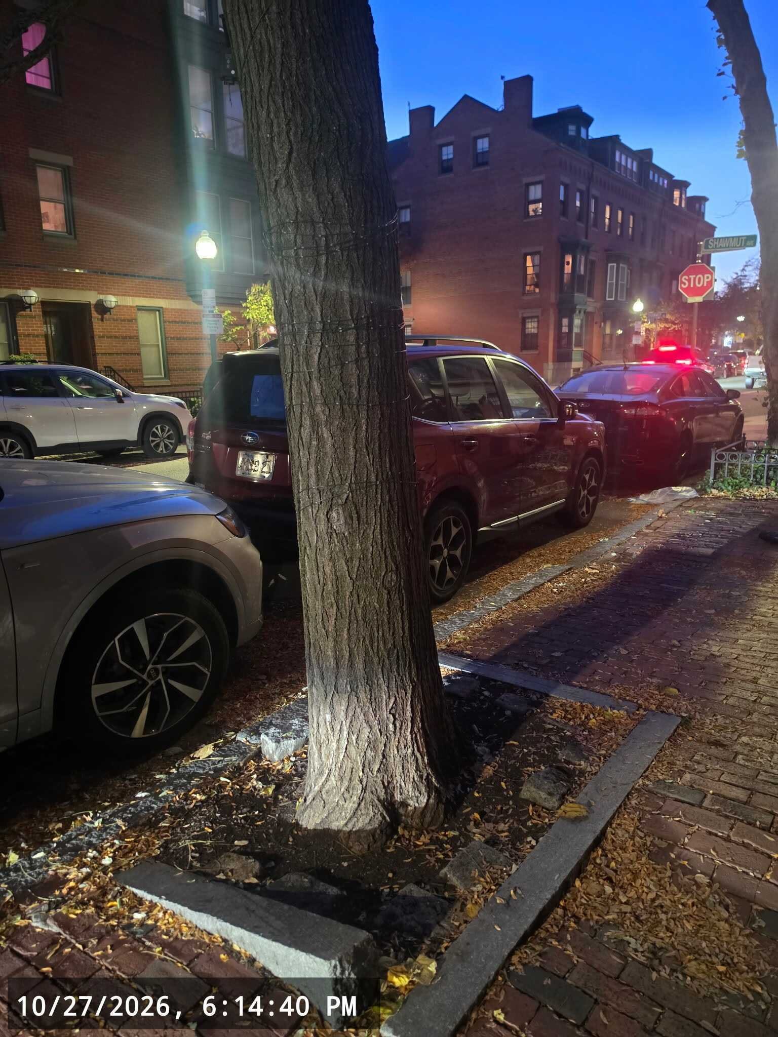 Image submitted with report