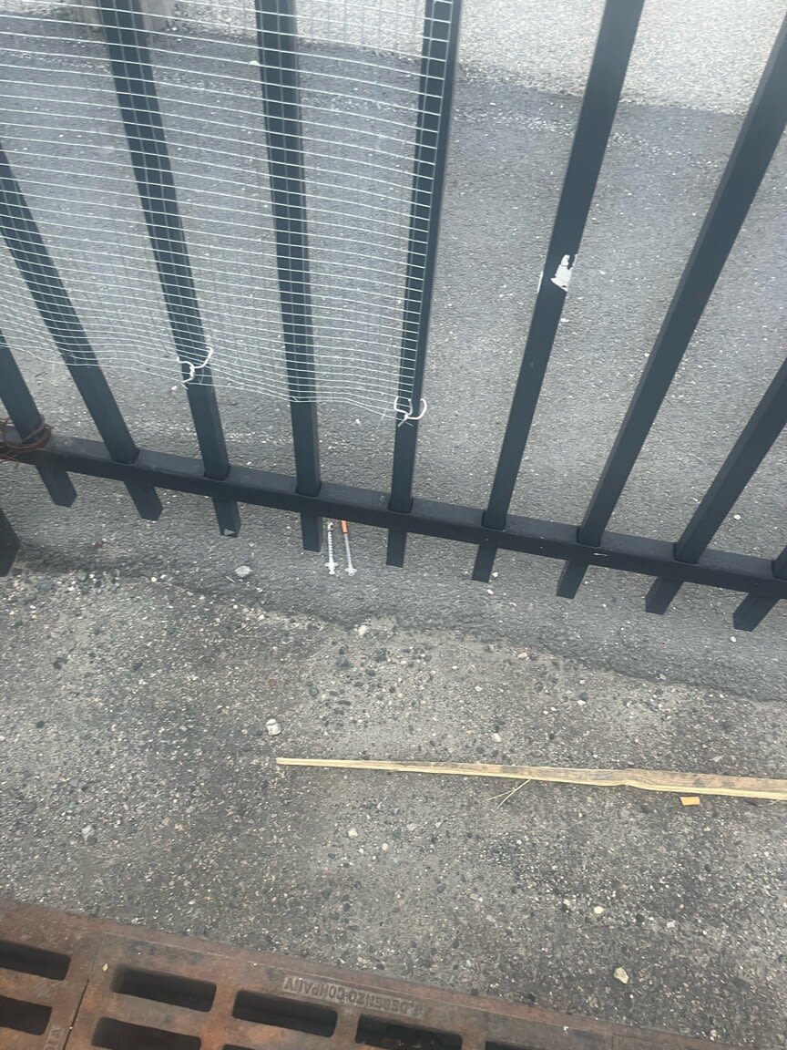 Image submitted with report
