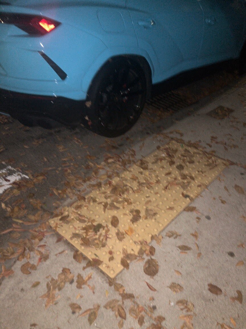 Image submitted with report