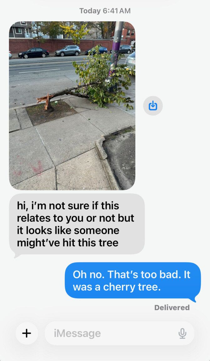 Image submitted with report