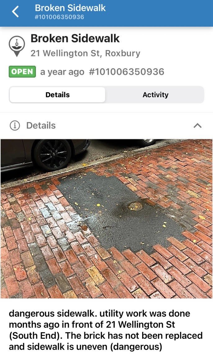 Image submitted with report