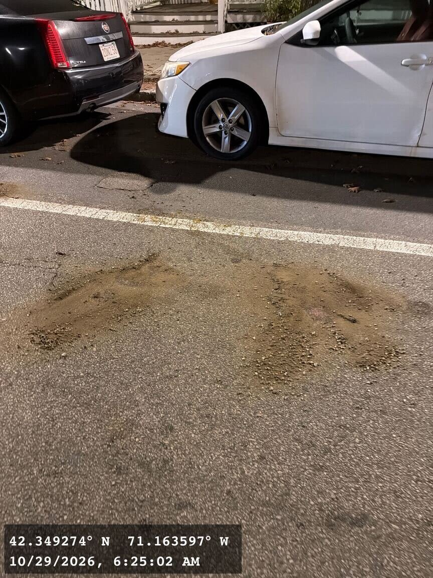Image submitted with report
