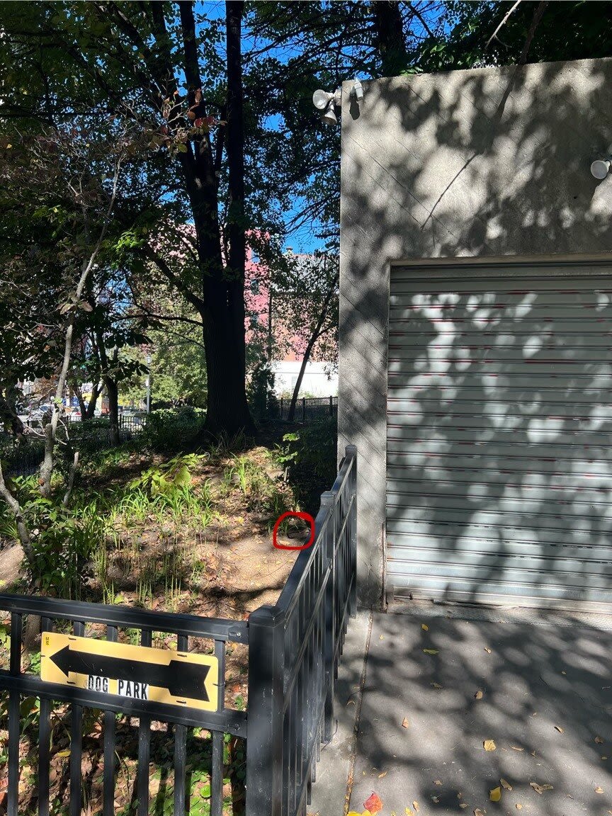 Image submitted with report