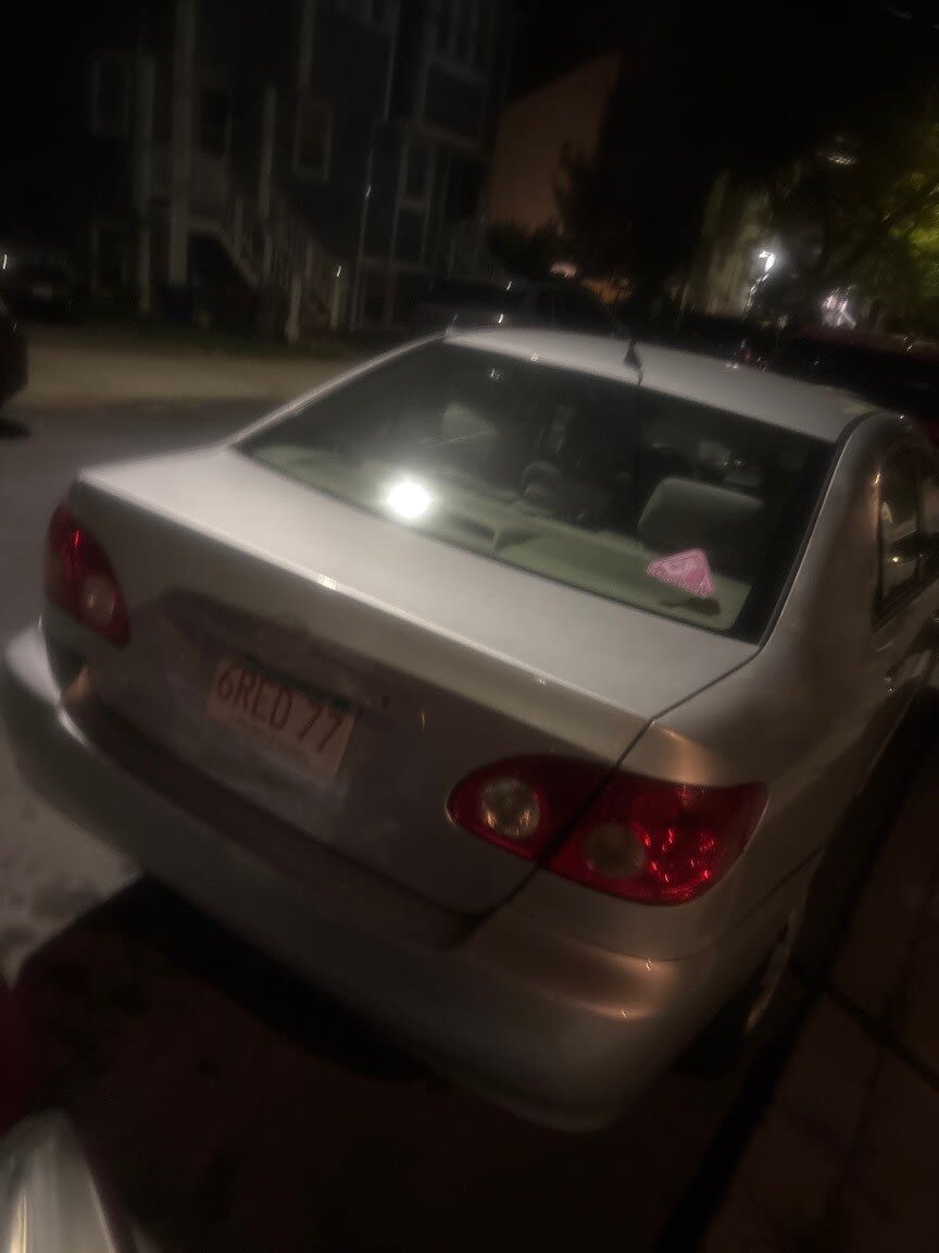 Image submitted with report