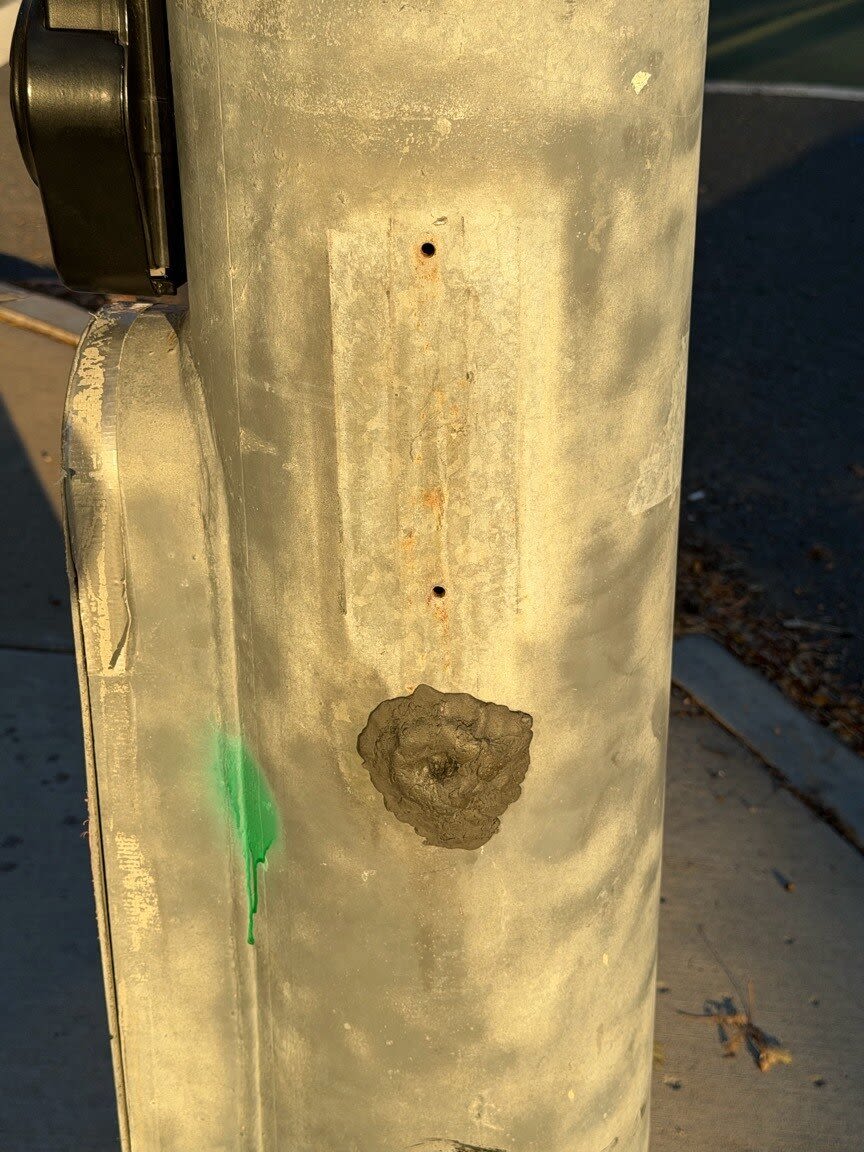 Image submitted with report