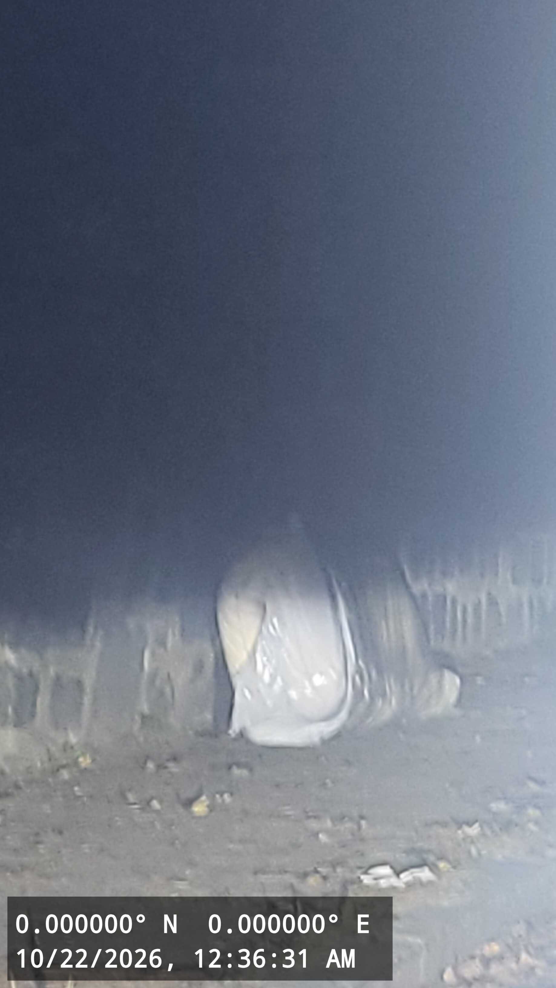 Image submitted with report