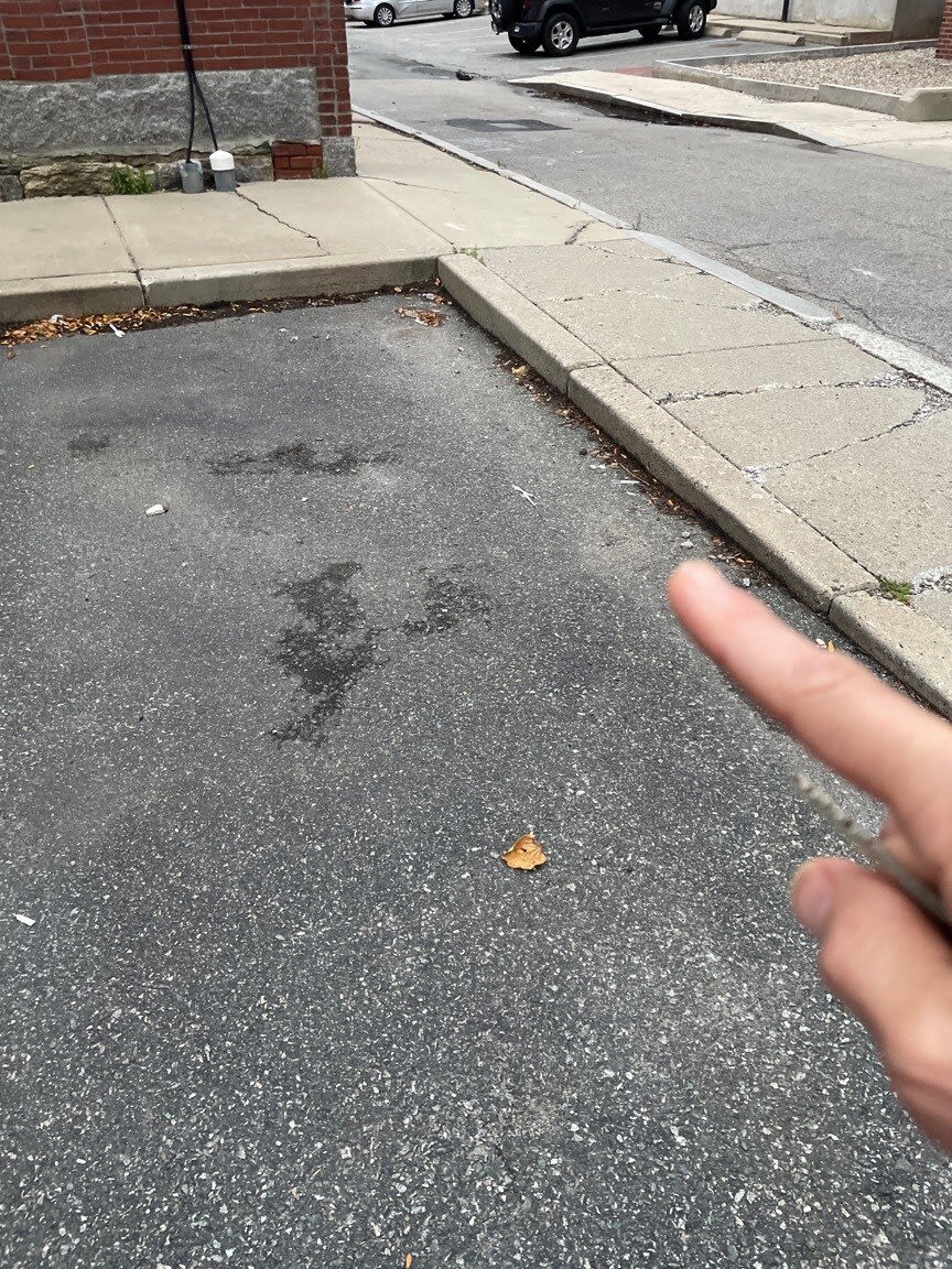 Image submitted with report