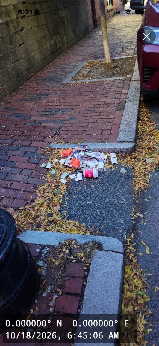 Image submitted with report