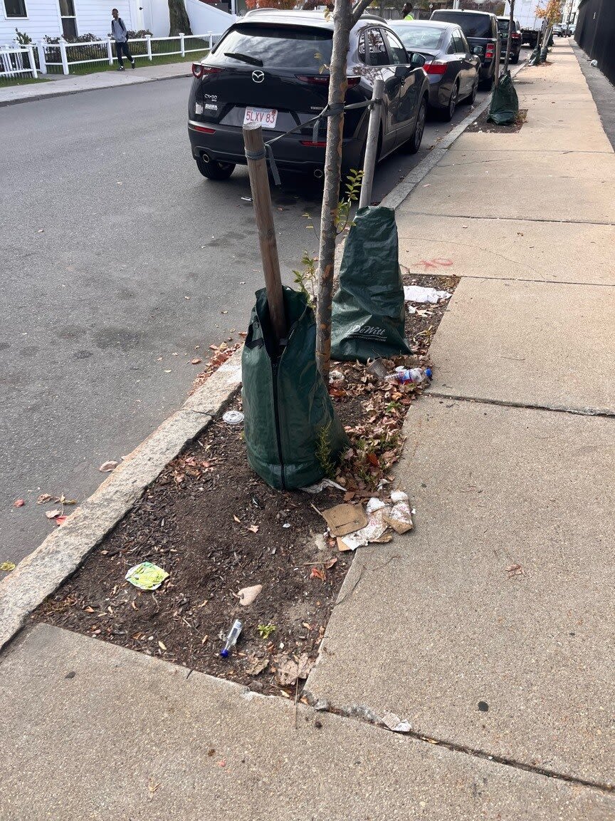 Image submitted with report