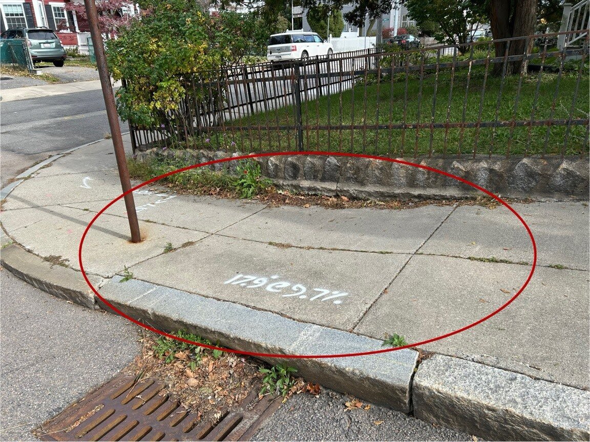 Image submitted with report