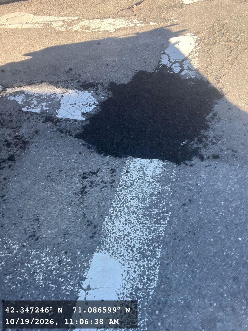 Image submitted with report