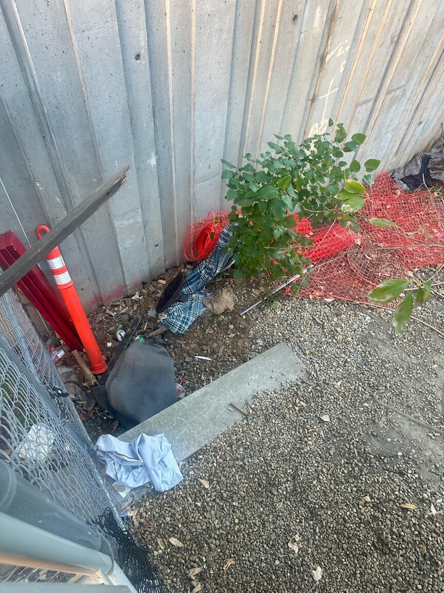 Image submitted with report