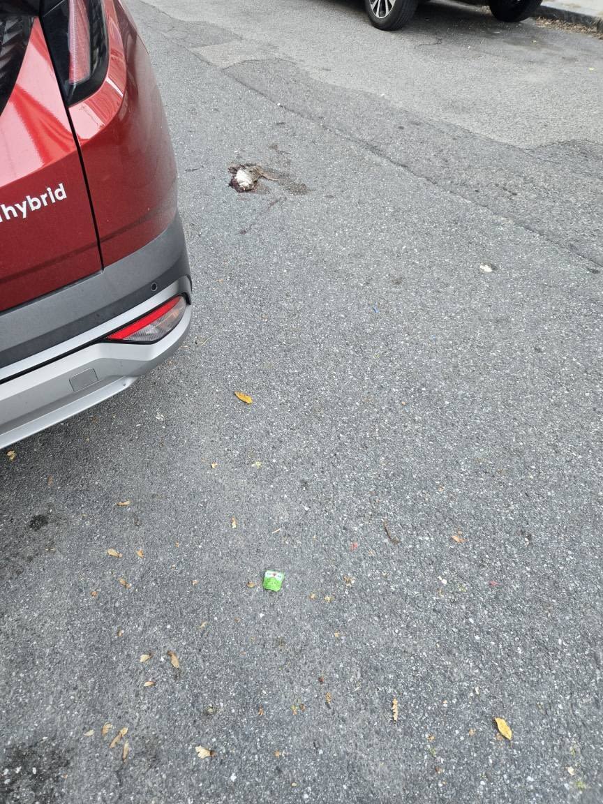Image submitted with report