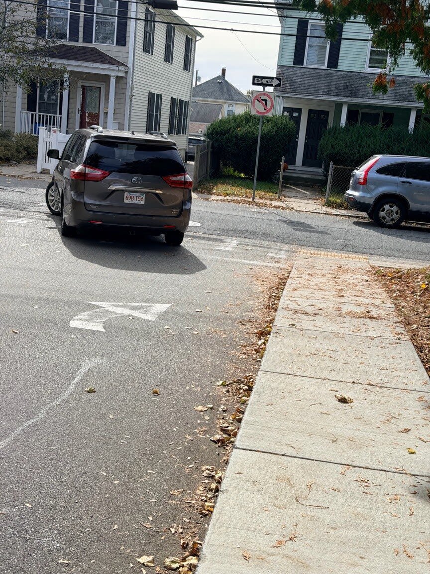 Image submitted with report