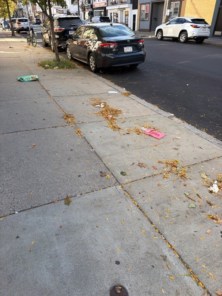Image submitted with report