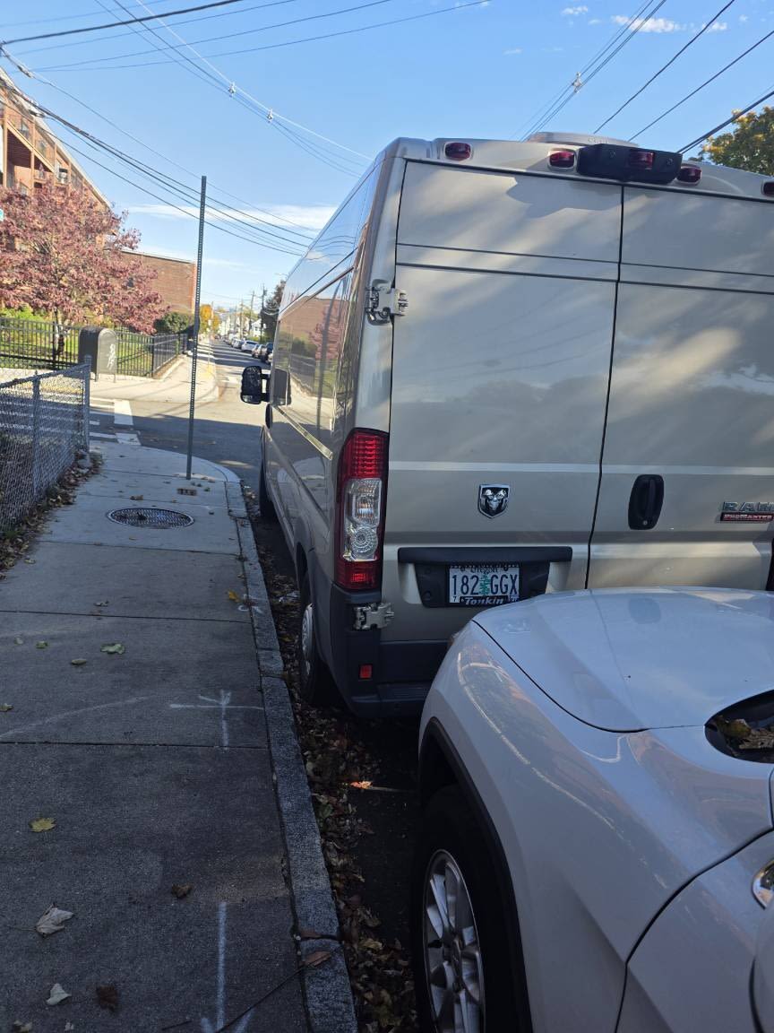 Image submitted with report