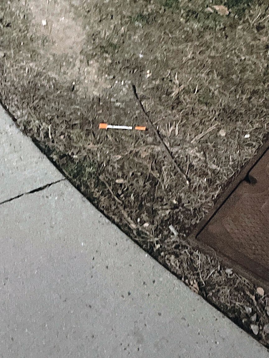 Image submitted with report