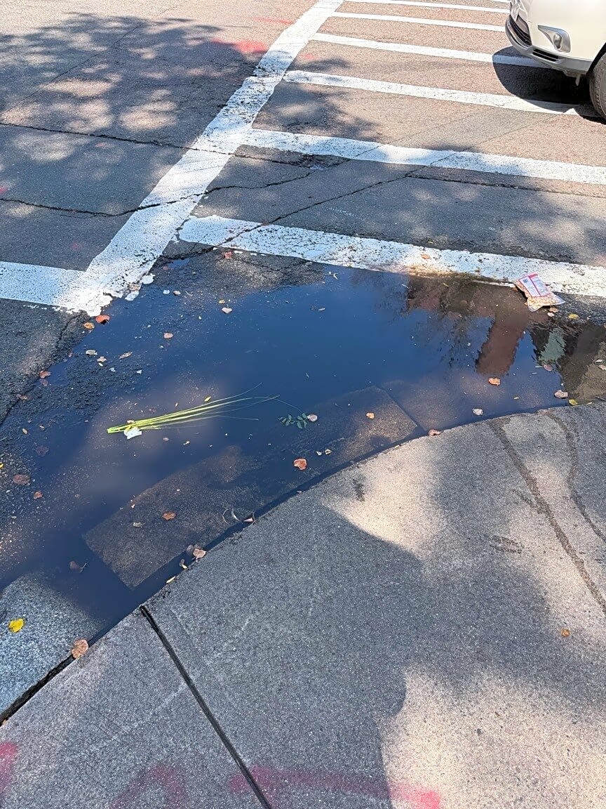 Image submitted with report
