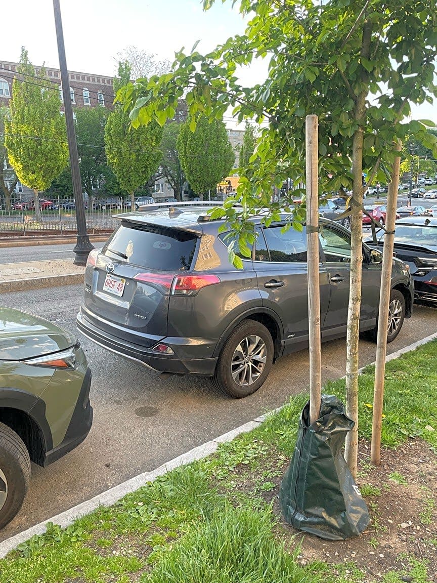 Image submitted with report