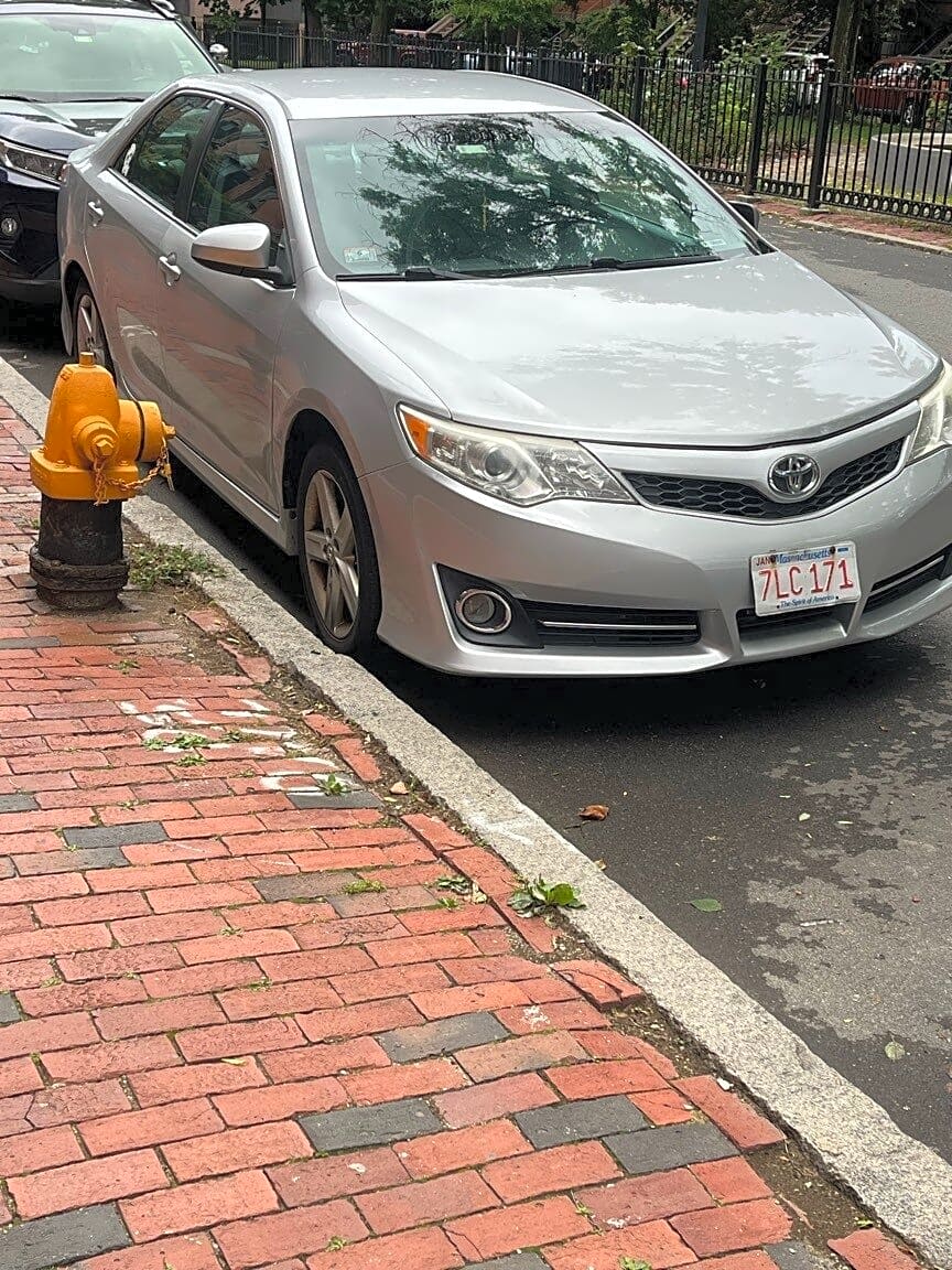 Image submitted with report