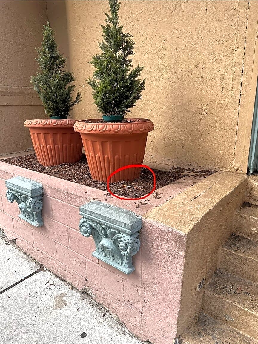 Image submitted with report