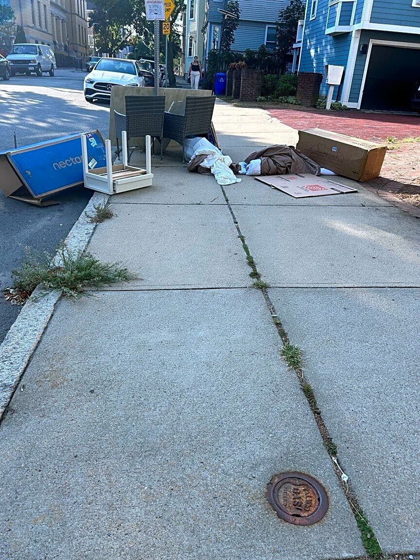 Image submitted with report