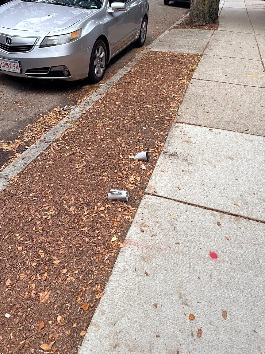Image submitted with report