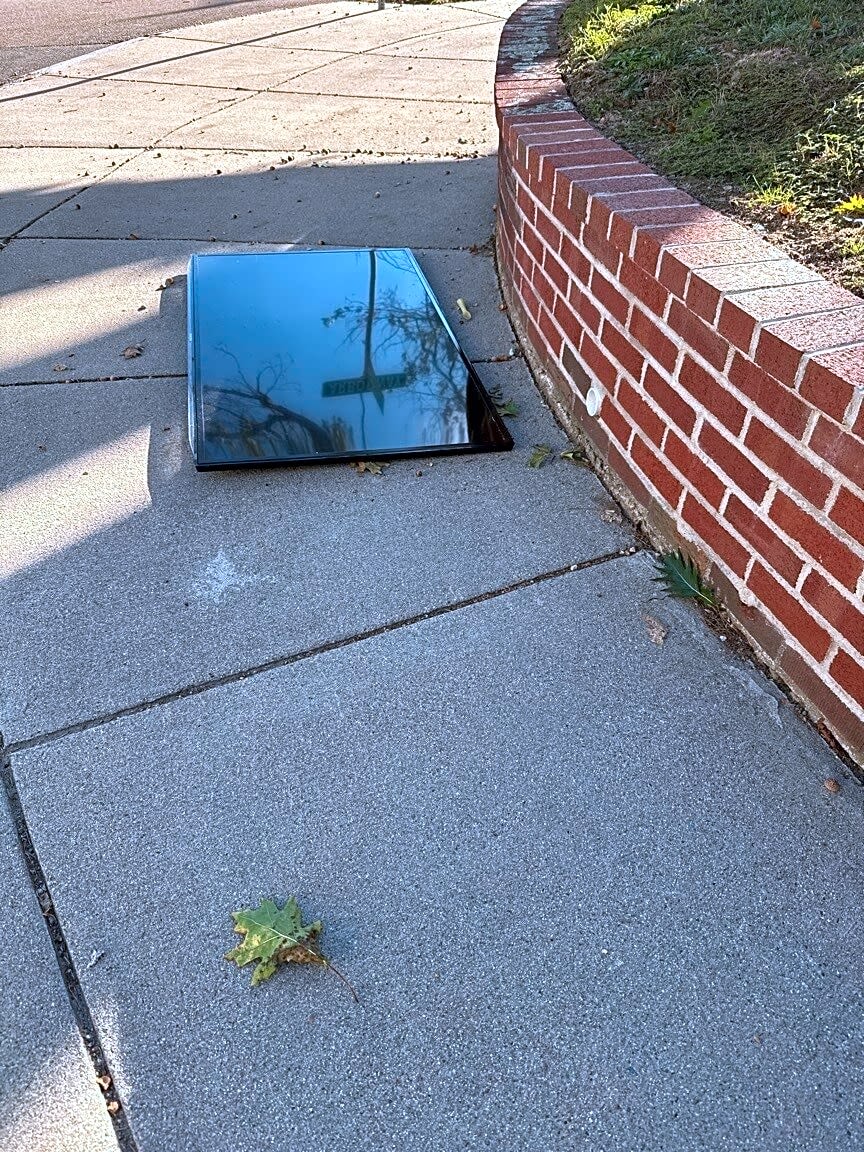 Image submitted with report