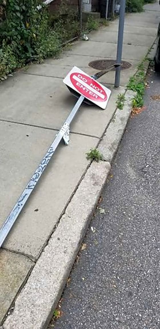 Image submitted with report