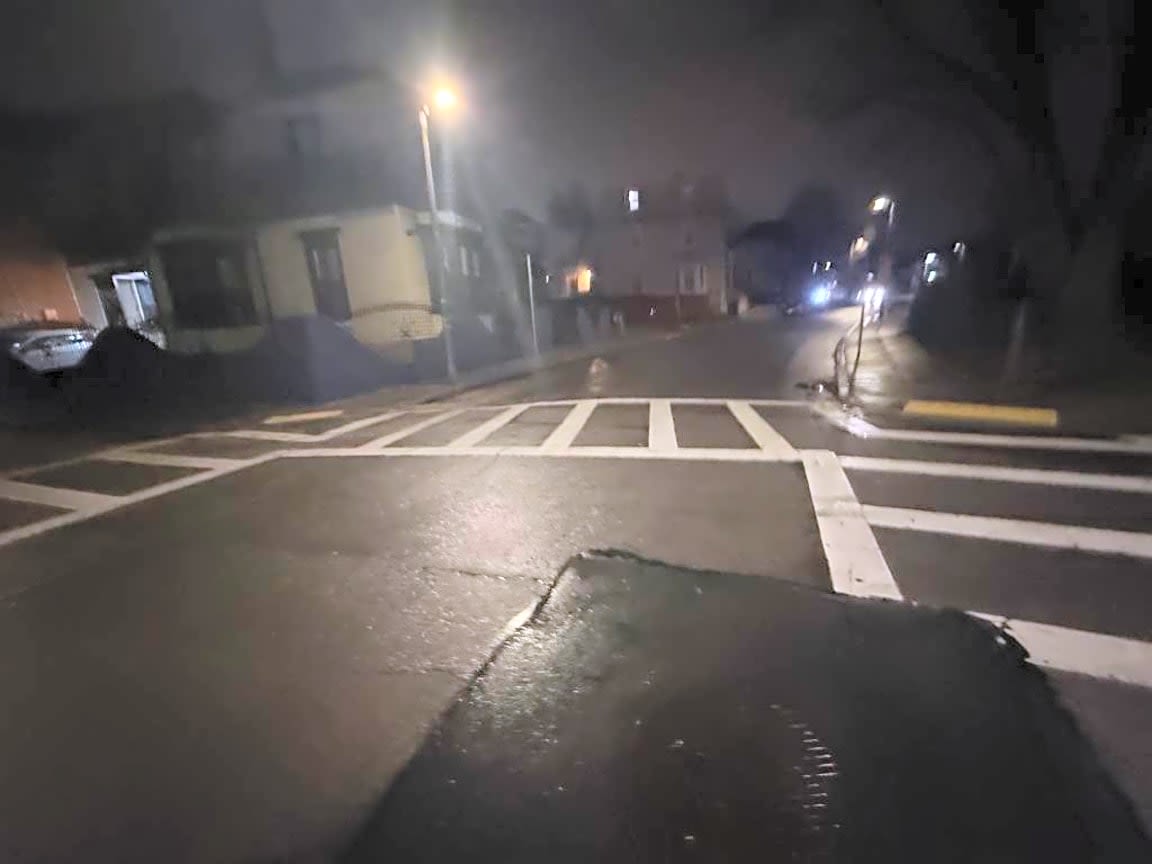 Image submitted with report