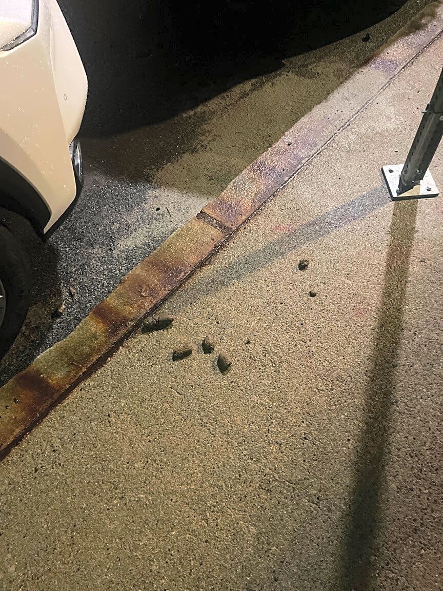 Image submitted with report