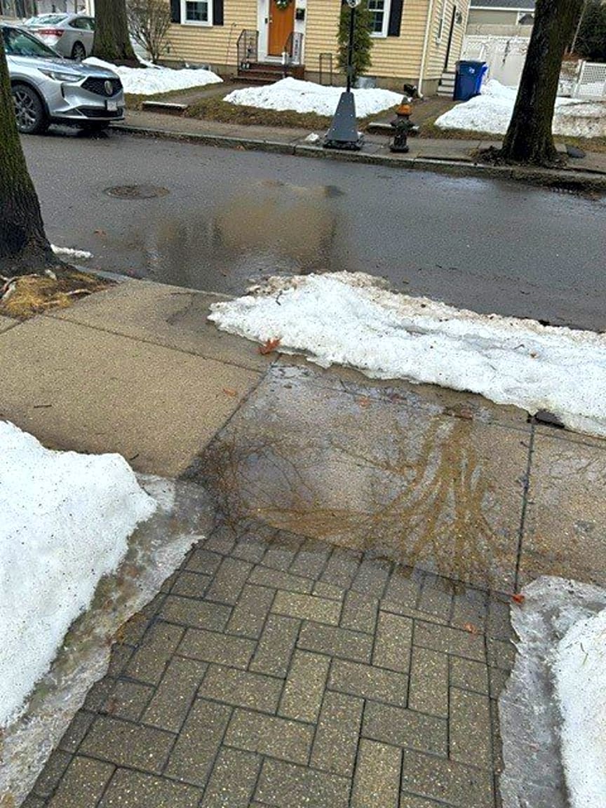 Image submitted with report