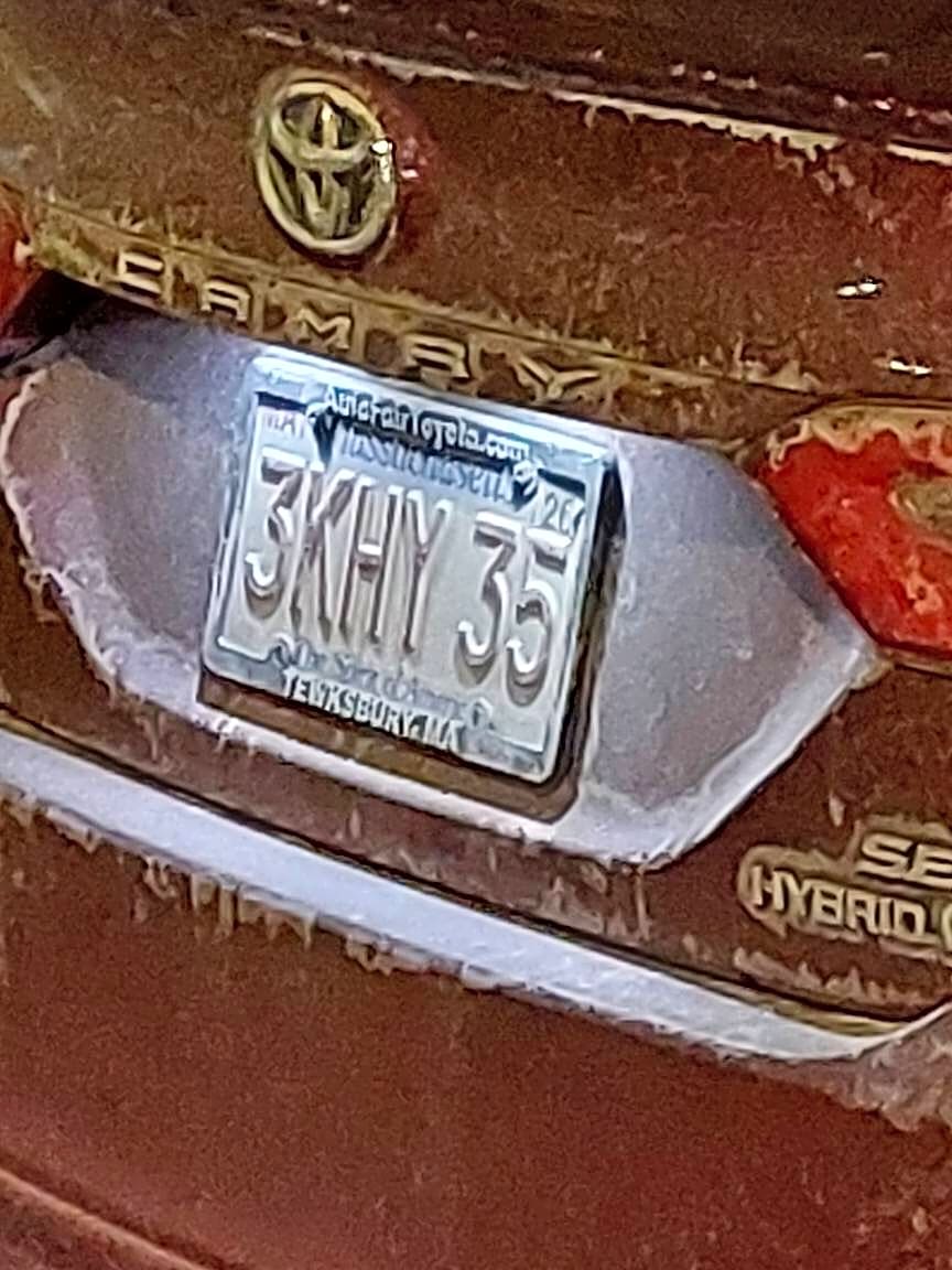 Image submitted with report