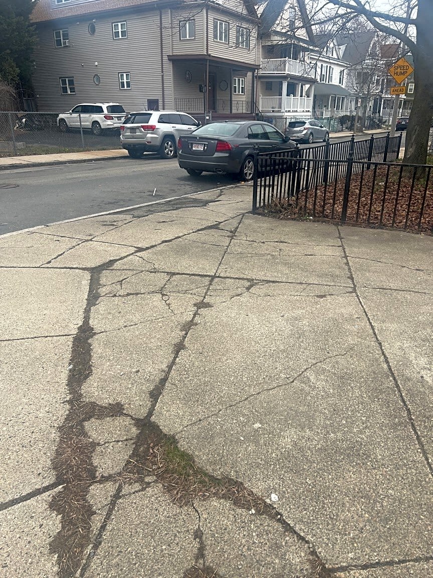 Image submitted with report