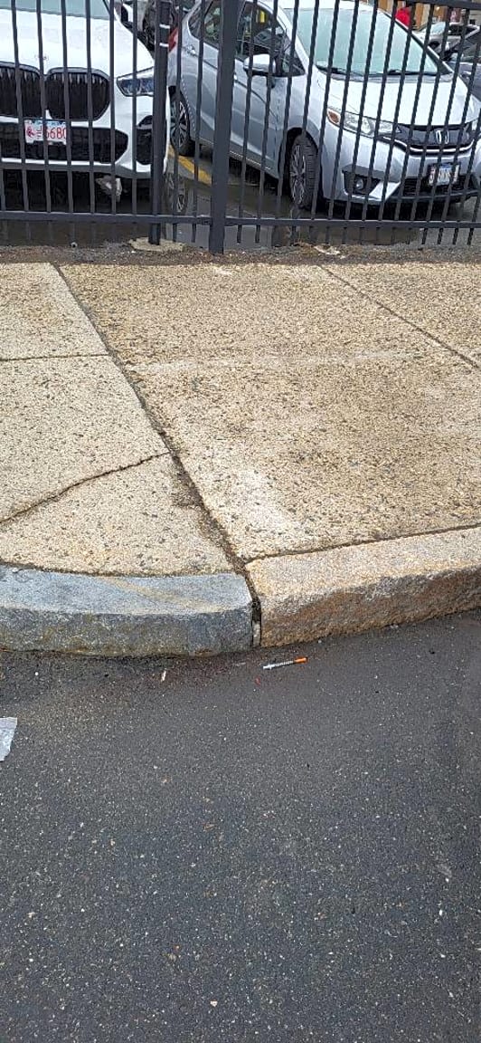 Image submitted with report