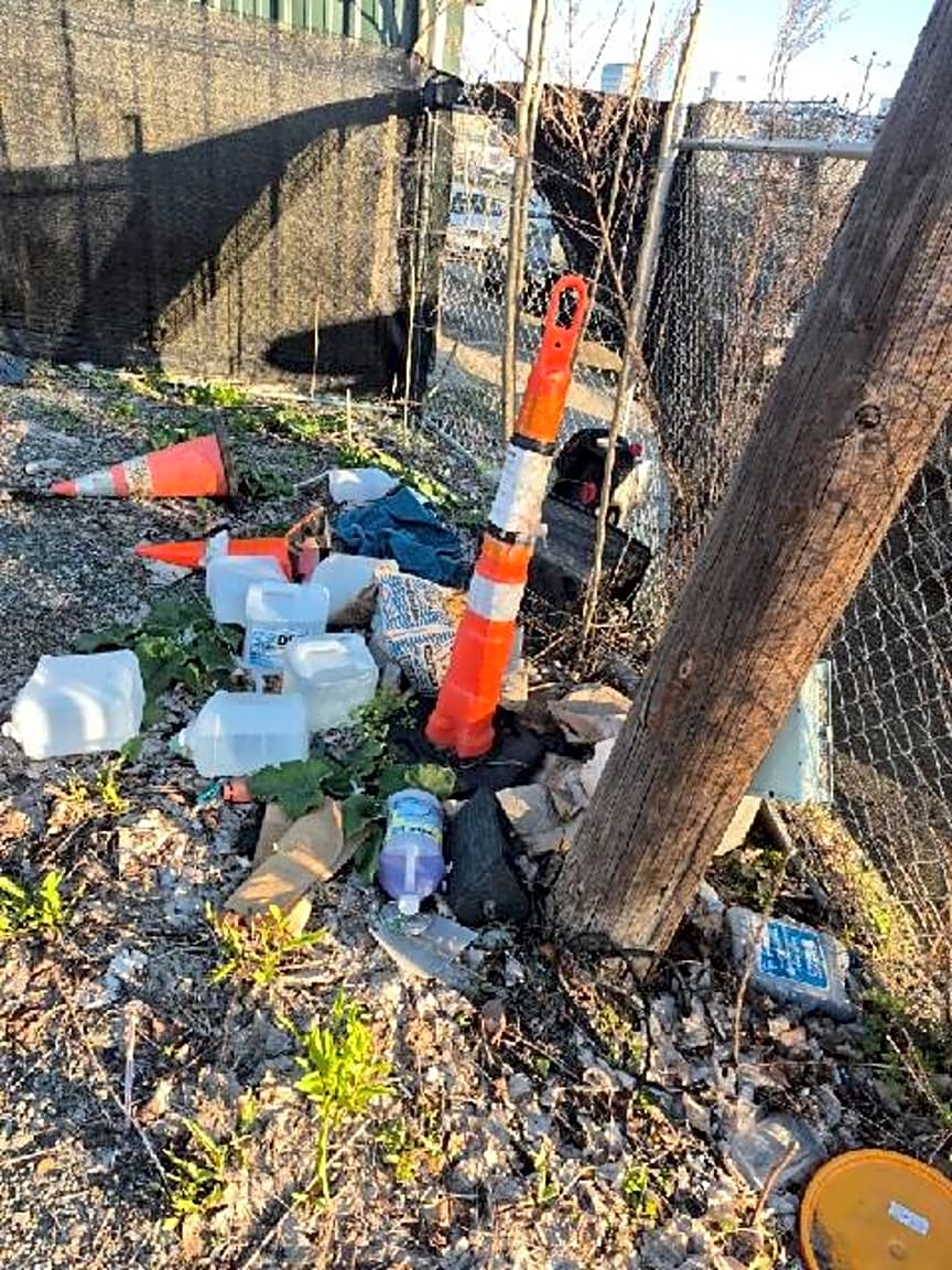 Image submitted with report