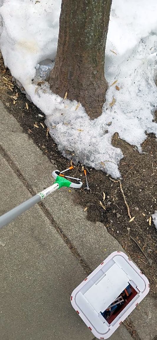 Image submitted with report