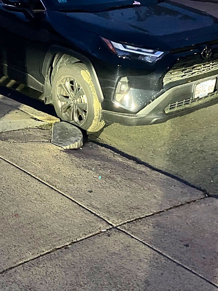 Image submitted with report