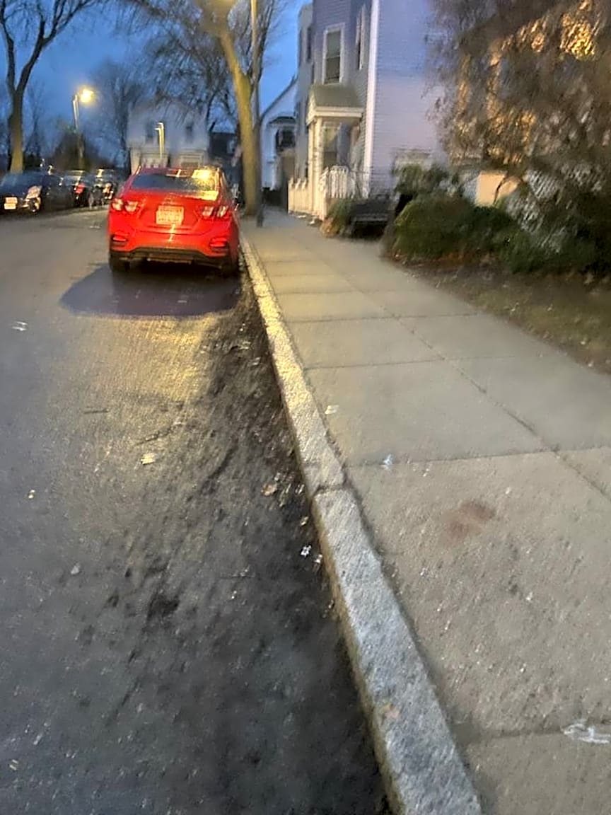 Image submitted with report