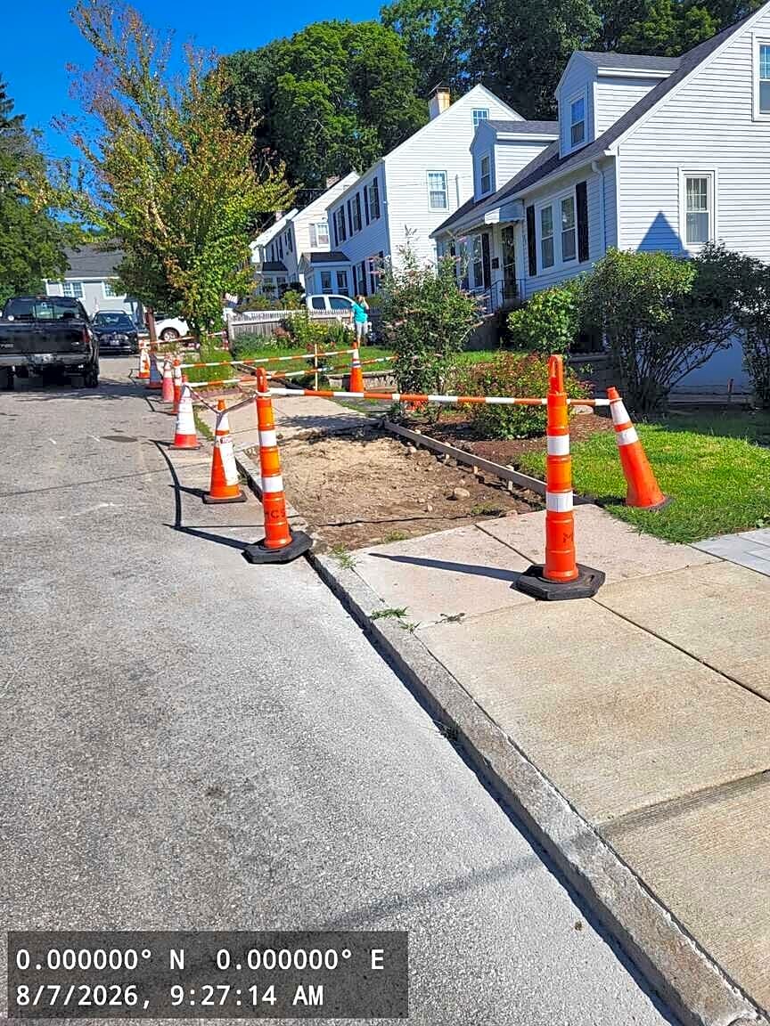 Image submitted with report
