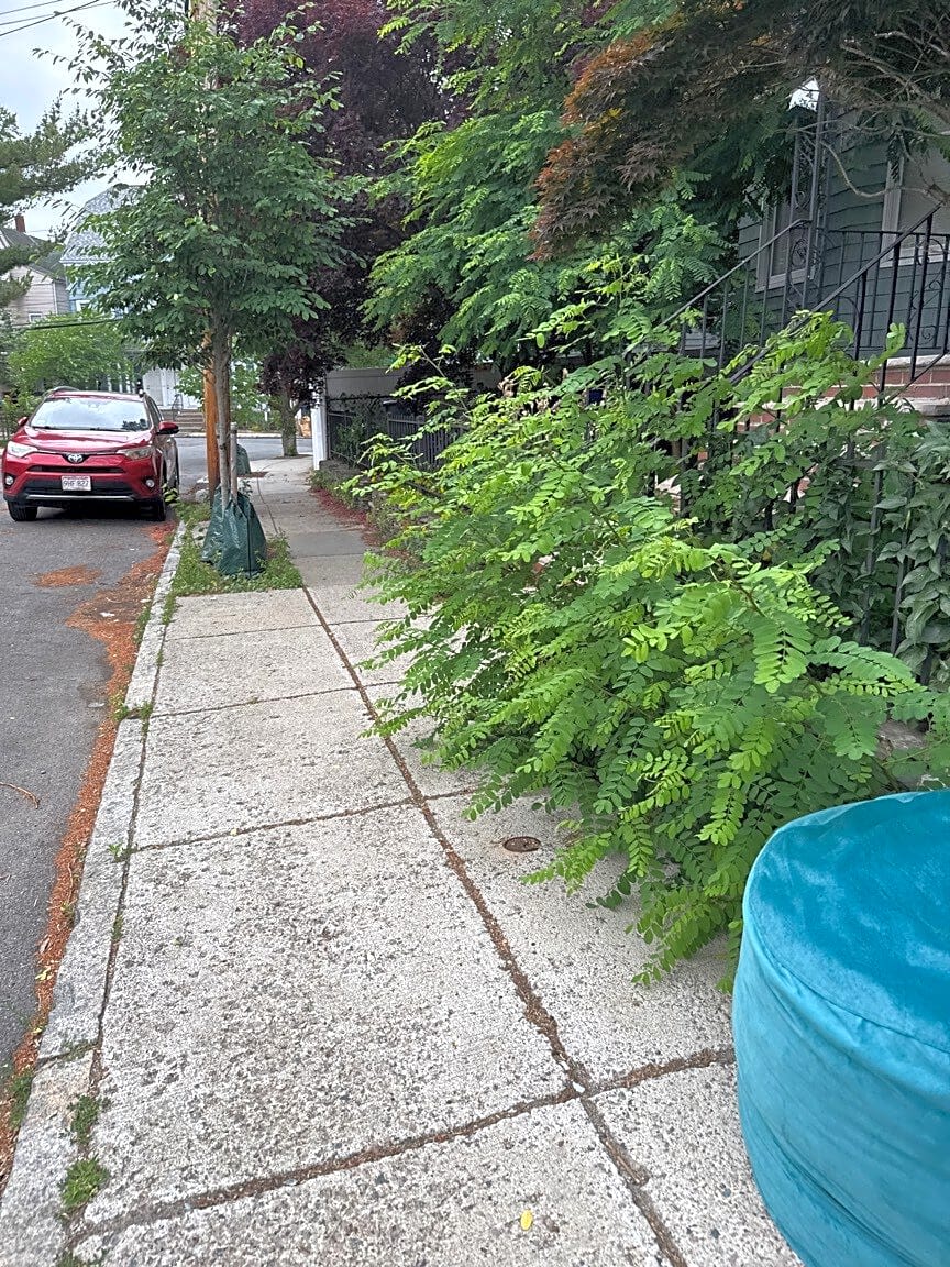 Image submitted with report