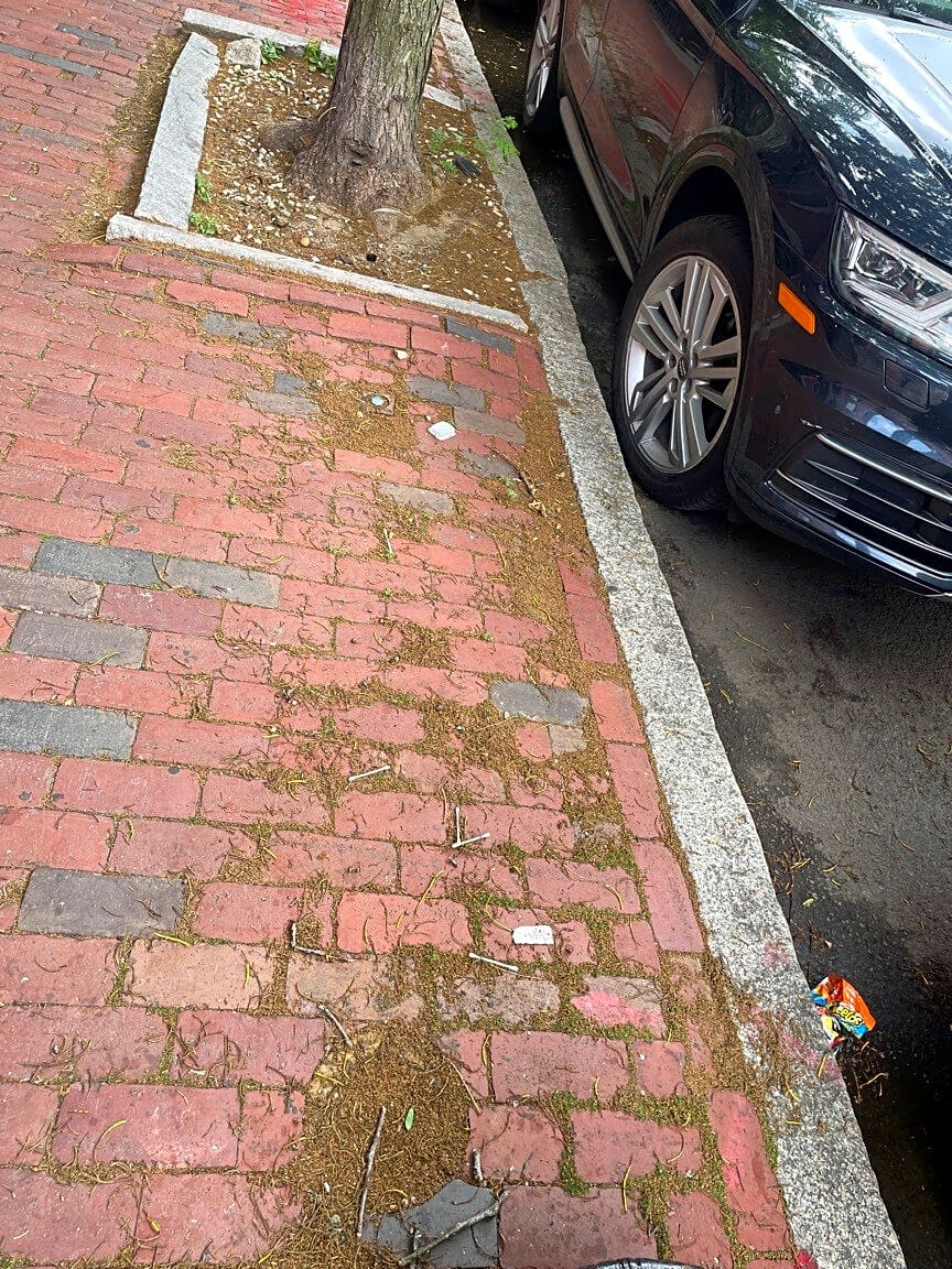 Image submitted with report