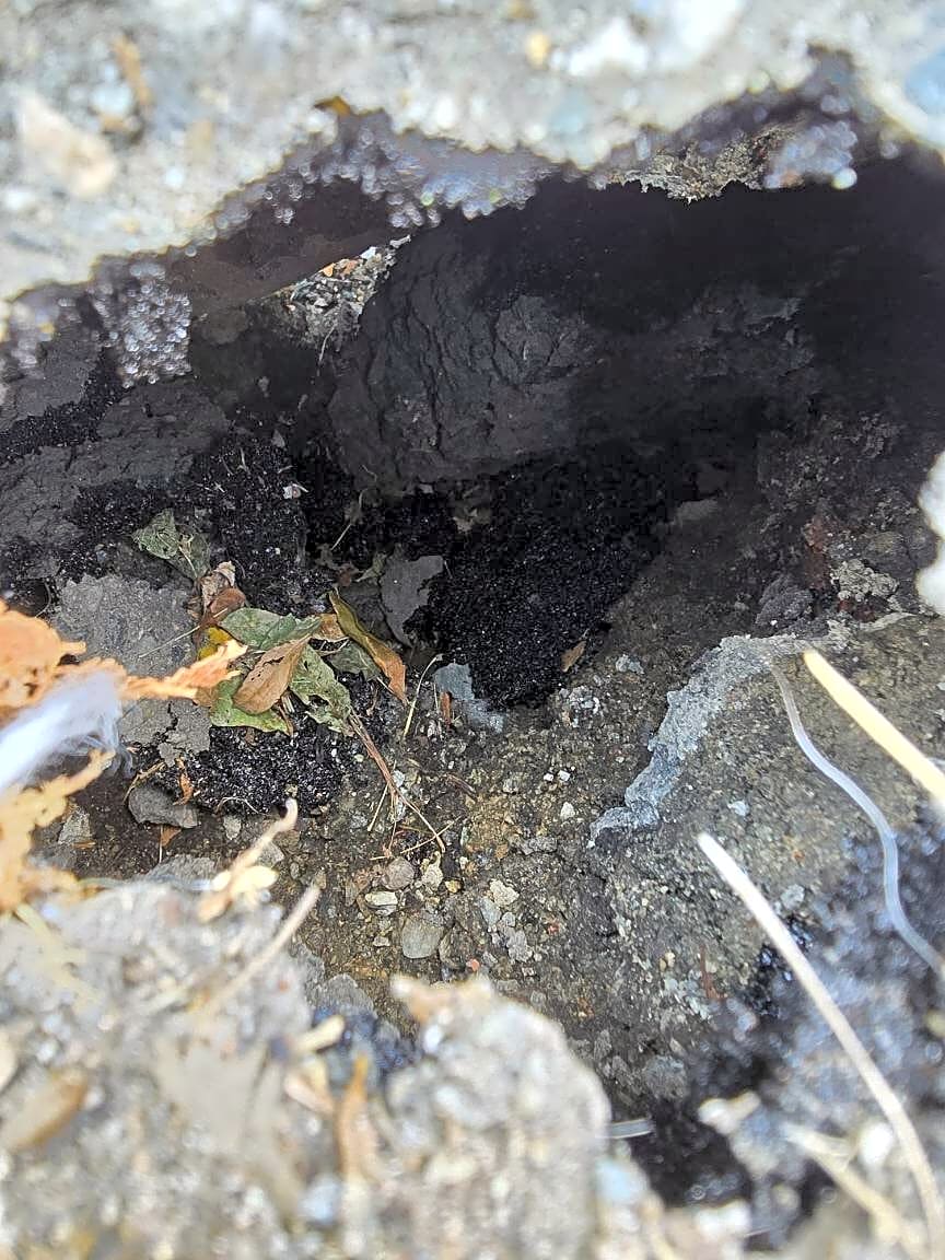 Image submitted with report