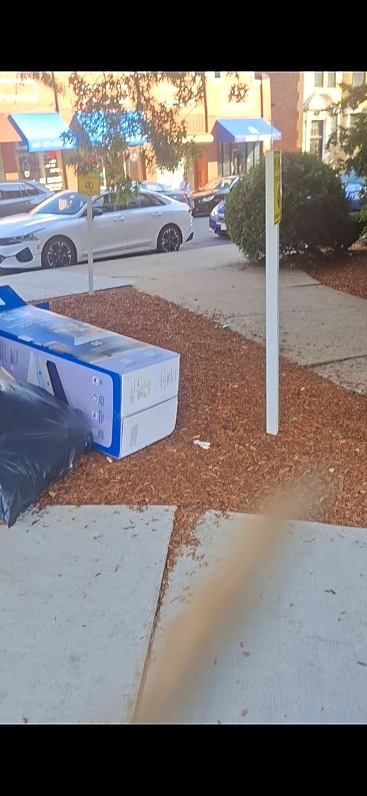 Image submitted with report
