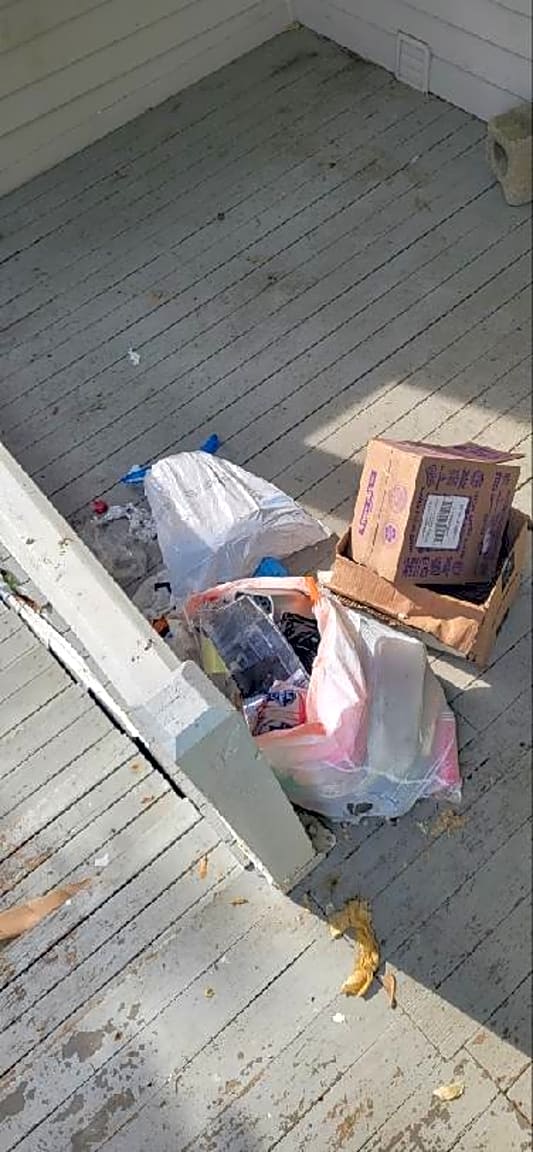 Image submitted with report